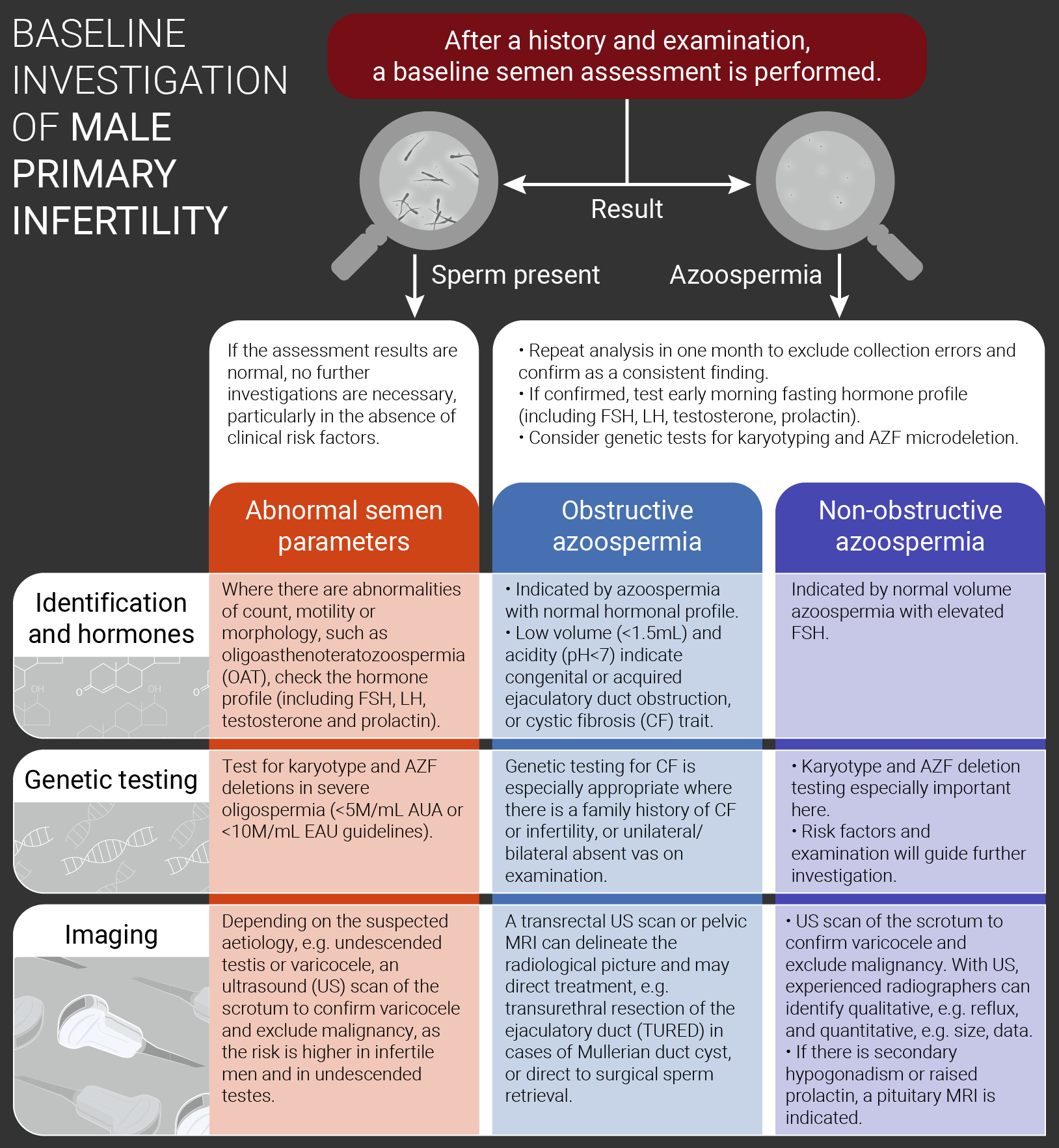 Investigating male infertility