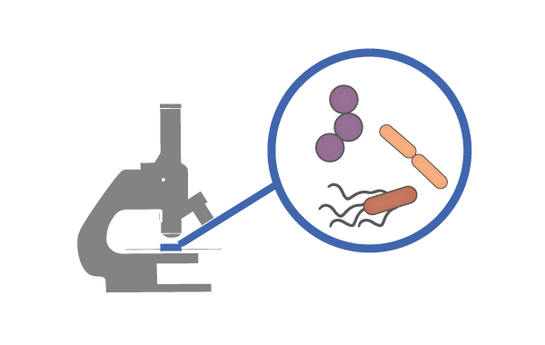 Bjui Knowledge: Urogenital Infections